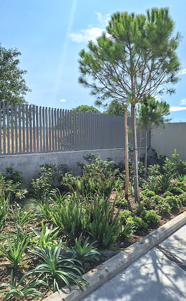 Epsilon health Office building