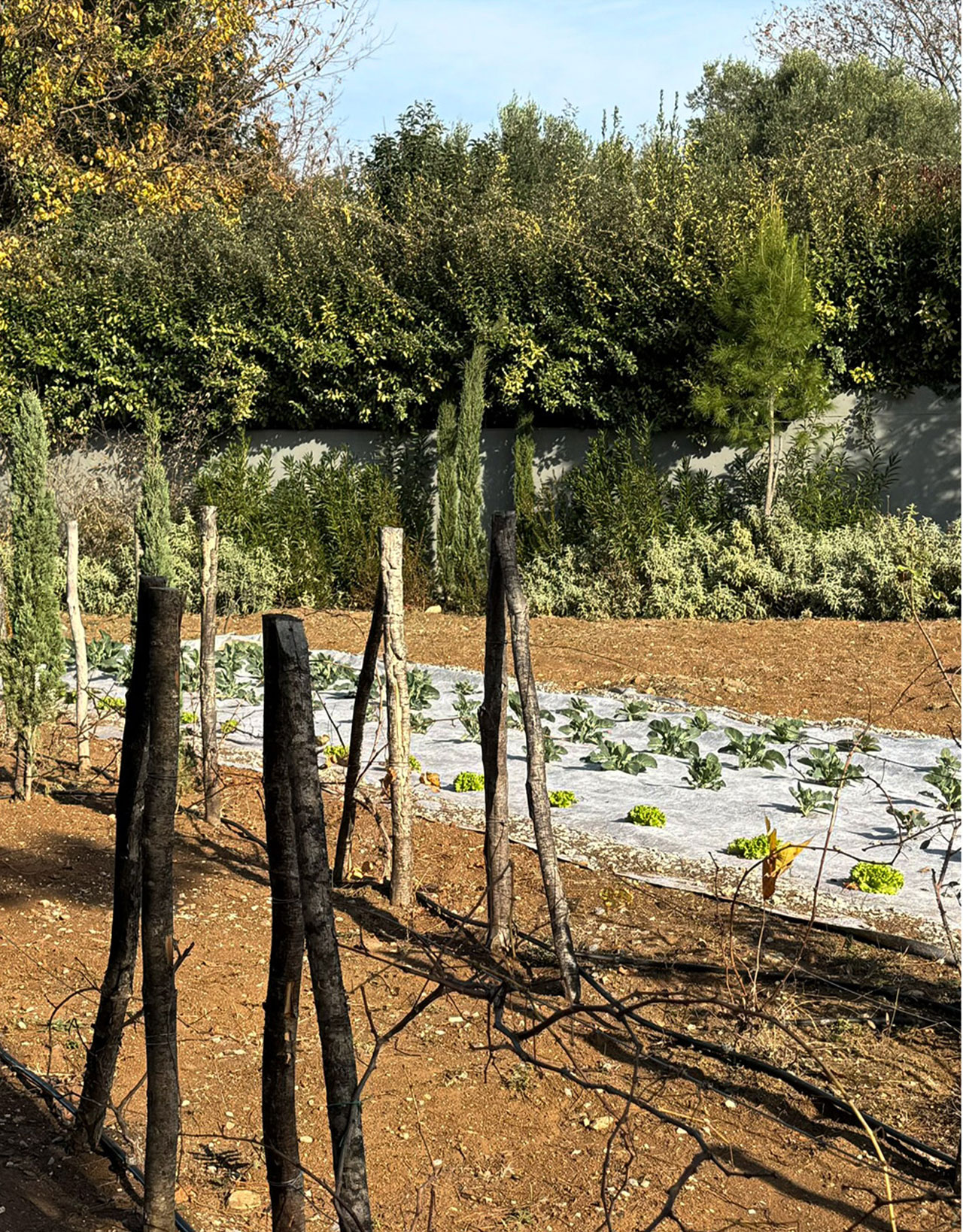 SVS Ιδιωτική κατοικία