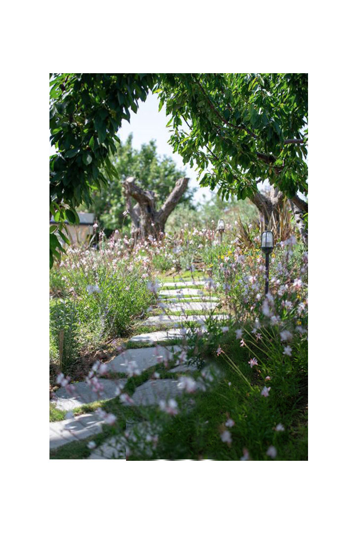 Antigoni Beach Resort