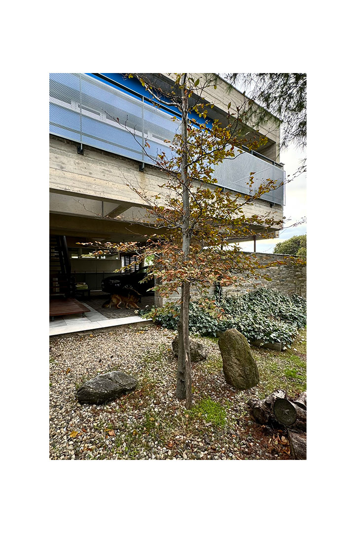 KRS Ιδιωτική κατοικία