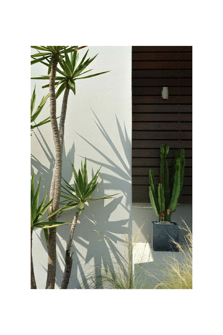 DMV1 Εξοχική κατοικία