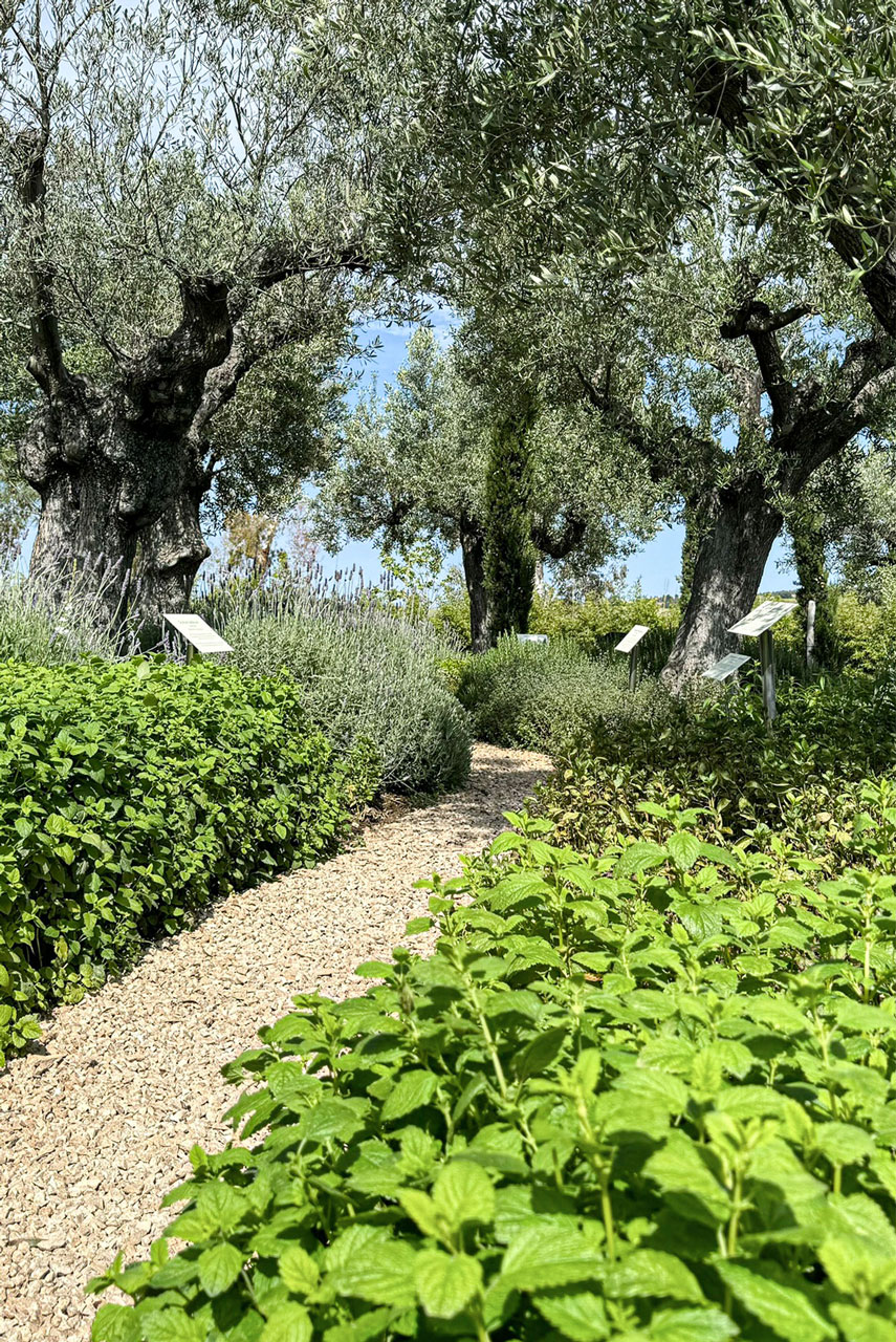 Sani Resort 