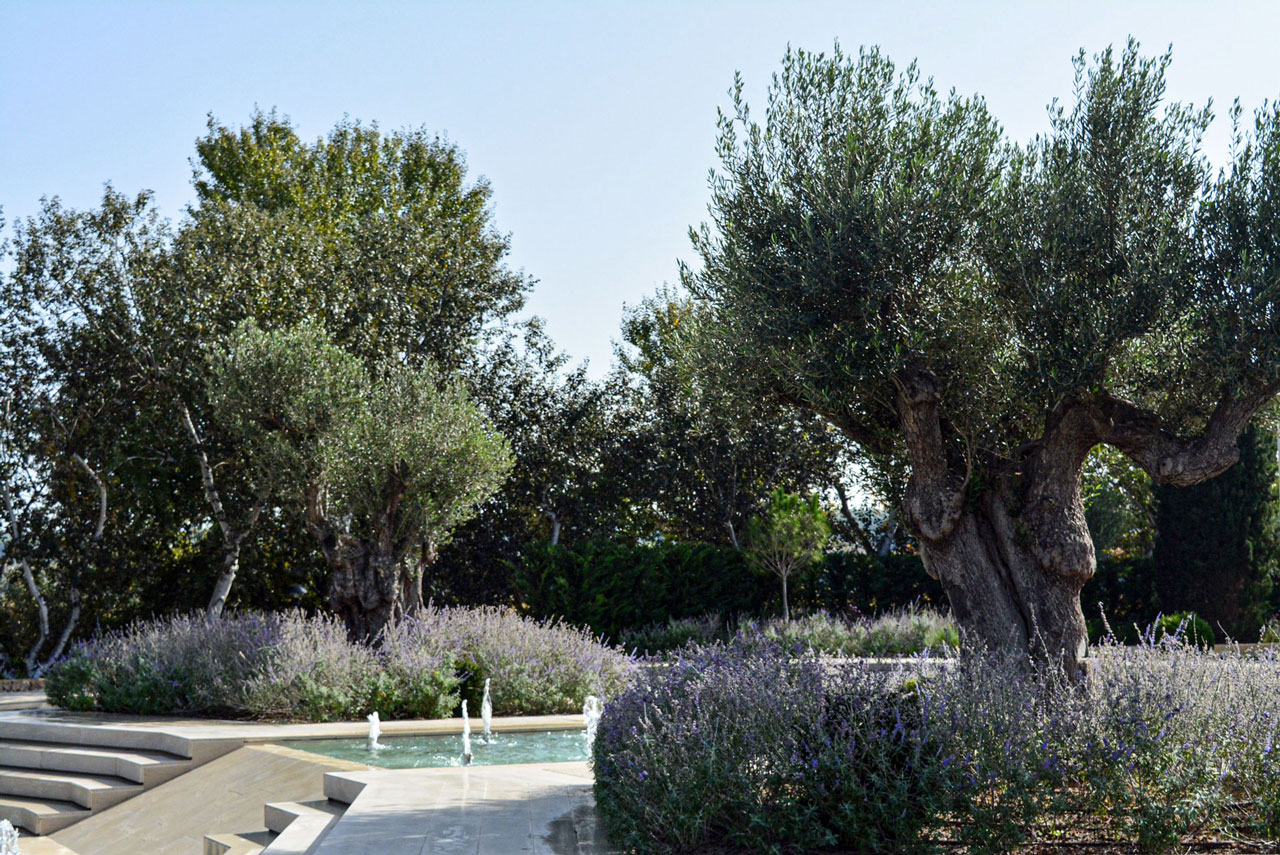 Sani Resort 
