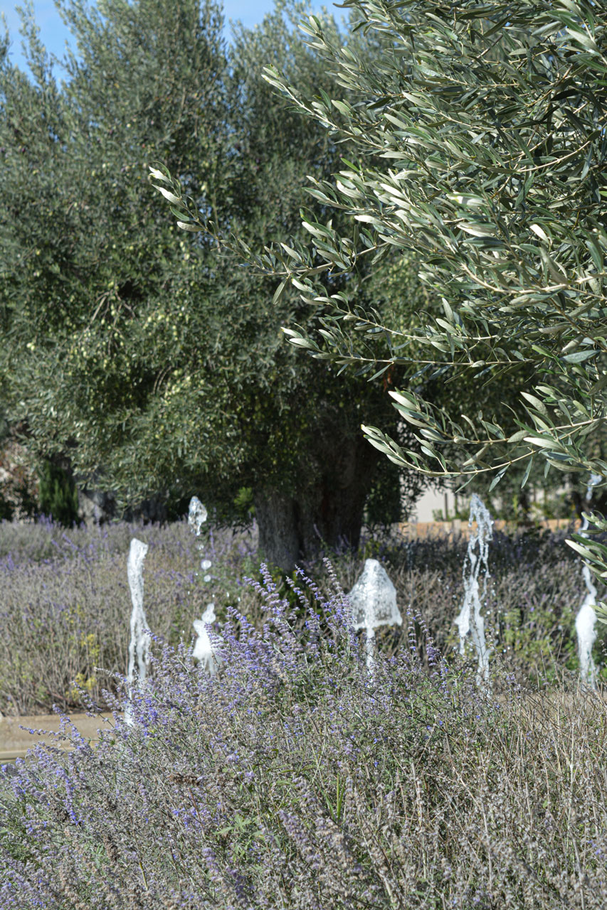 Sani Resort 