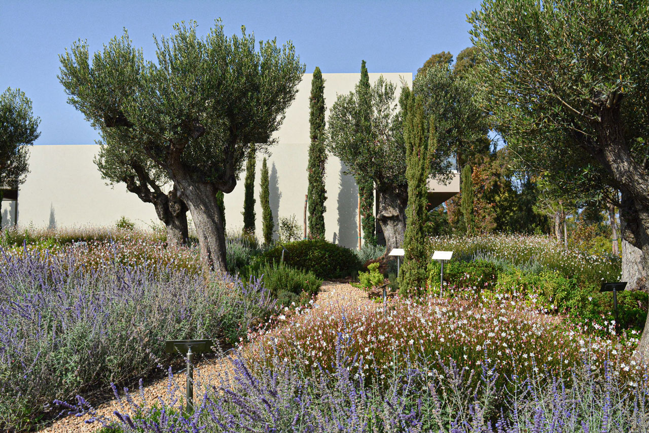 Sani Resort 