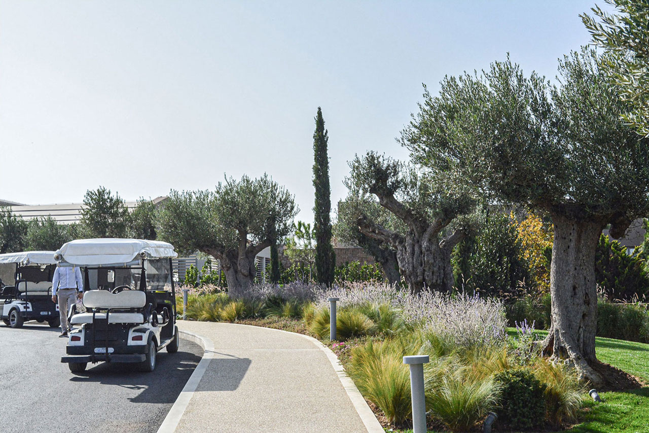 Sani Resort 