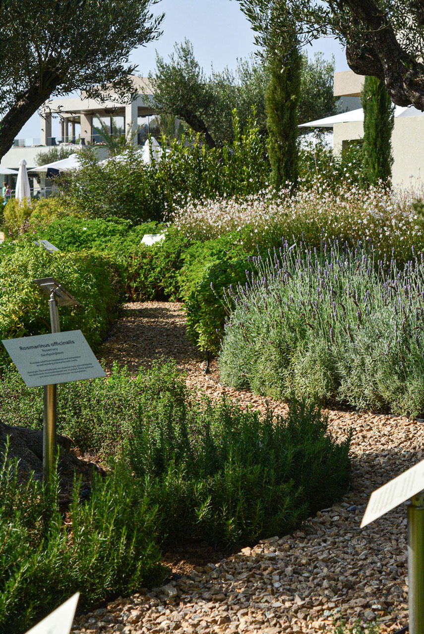 Sani Resort 