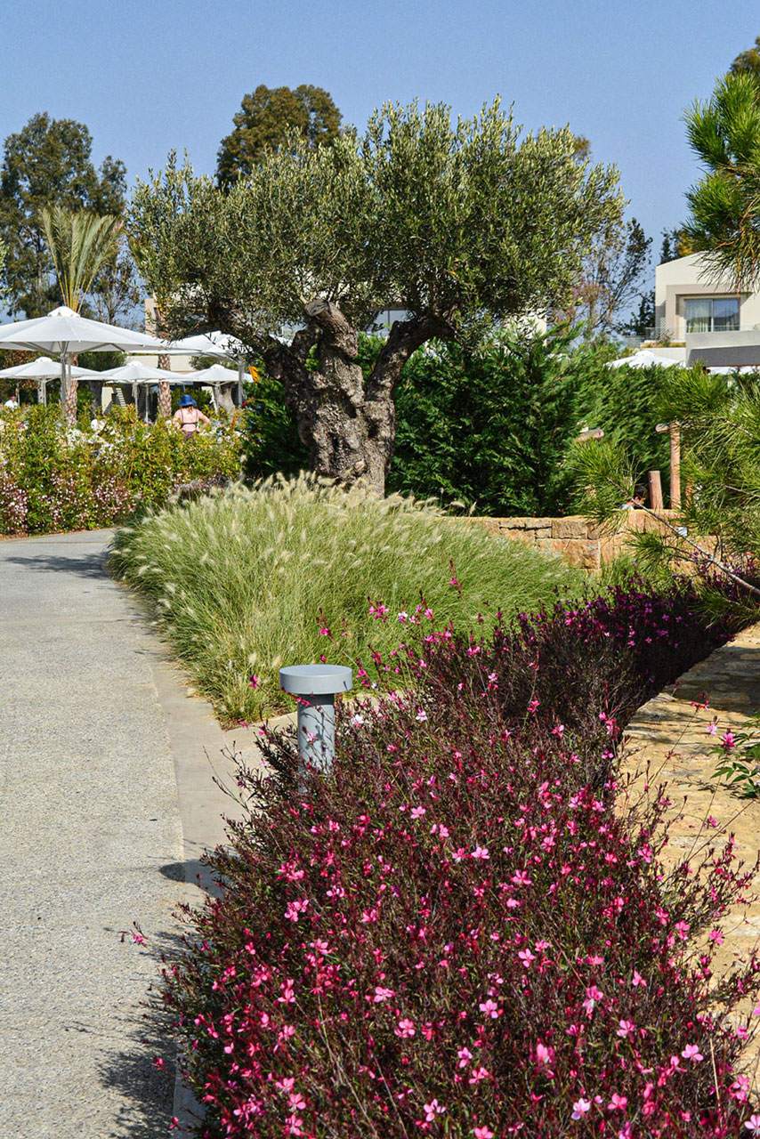 Sani Resort 