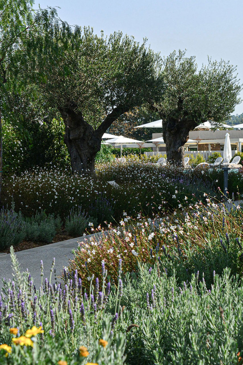 Sani Resort 