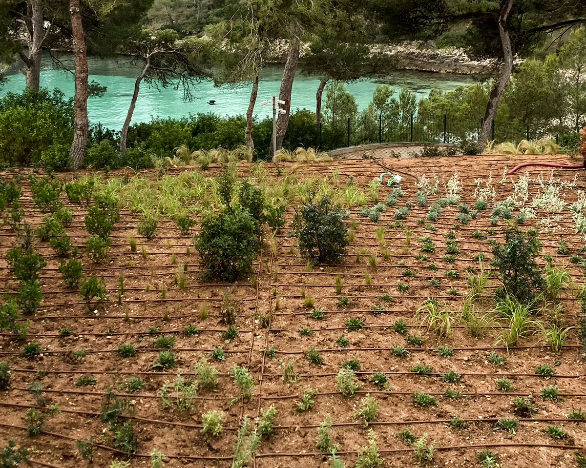 Ikos Porto Petro
