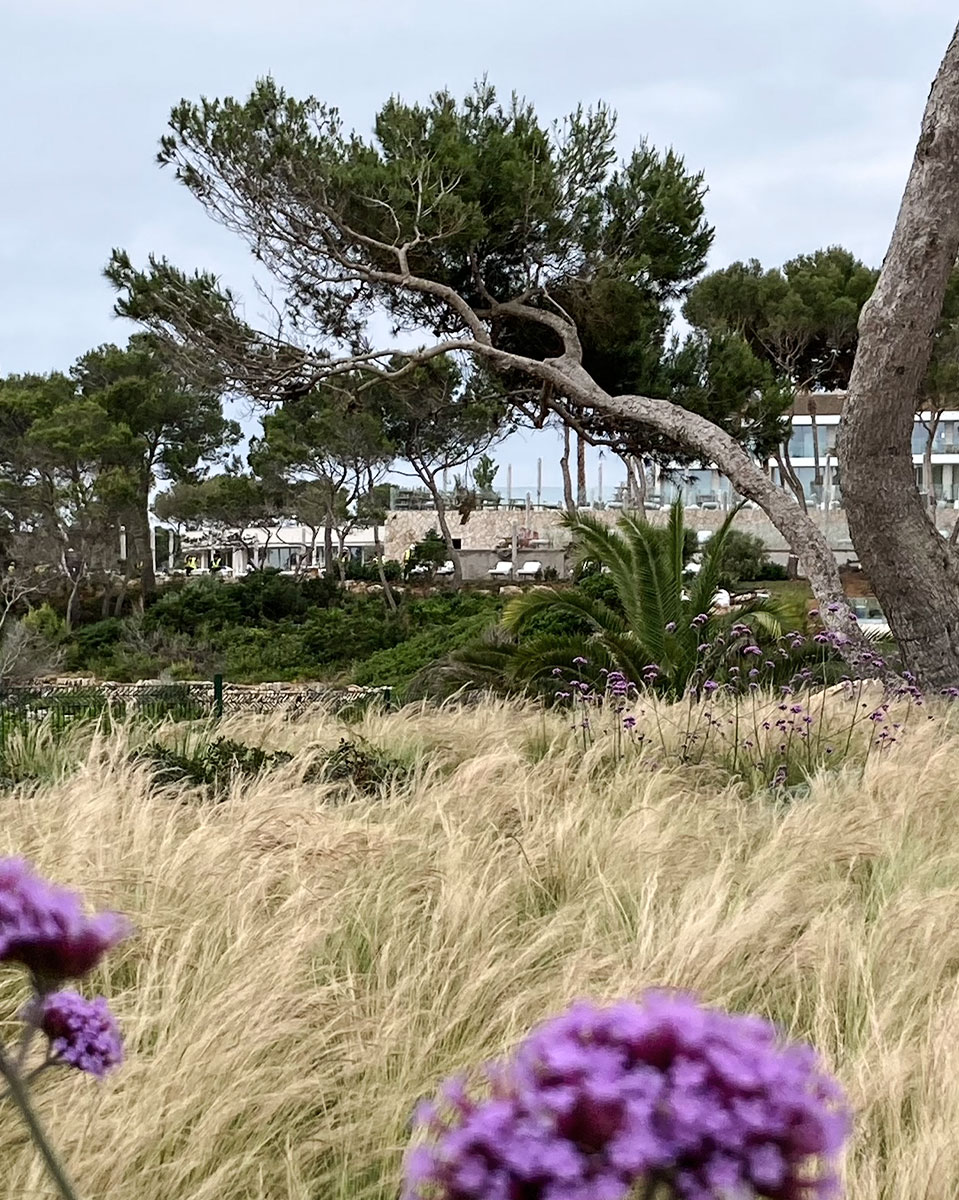 Ikos Porto Petro