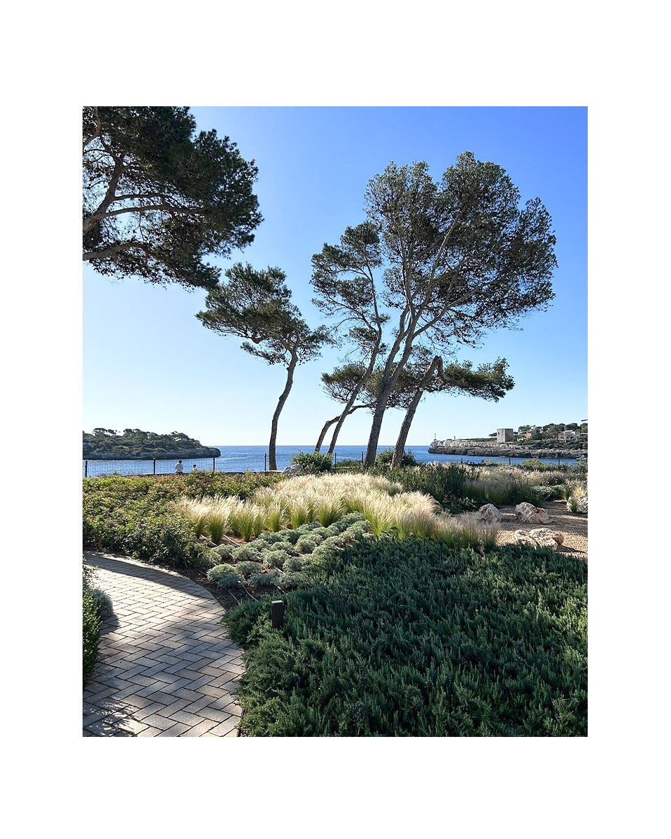 Ikos Porto Petro